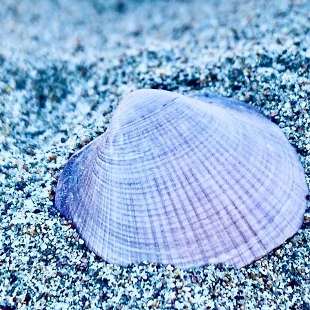 Apartmán Casa Manuela Non Turisti Ma Ospiti Chioggia Exteriér fotografie